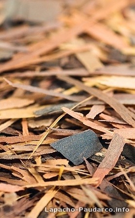 Kora lapacho - pau d'arco